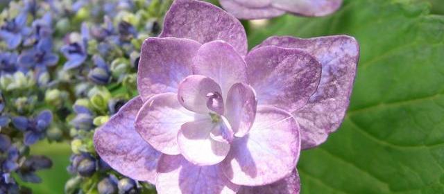 公开线索对照:网红探店价目表对不上,店家说「那天没挂那块板」
