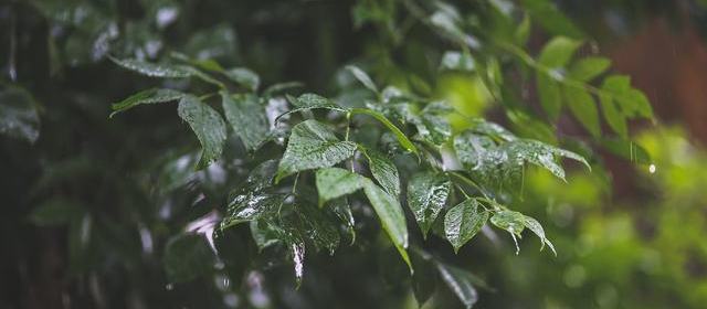 时间线摘录:直播间突然切走,切片号先放出「说错词」那三秒