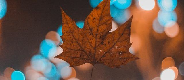 时间线摘录:梅婷直播连连“不知道”:人设反差被放大,争议点到底在态度还是准备